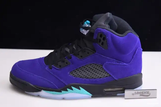TBkick Air Alternate 5 Retro Grape Jordan 136027-500 0529
